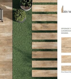 9DBA7A70-8420-4F08-9177-577209C02E66