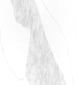 Calacatta Cam Venice 2