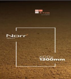 Evon Fullbody Digital - Copy-31