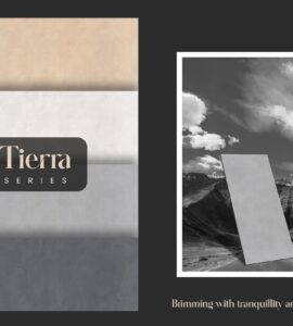 Matt Series - Copy-17