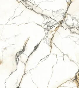 PAONAZZETTO REALE_BM_A