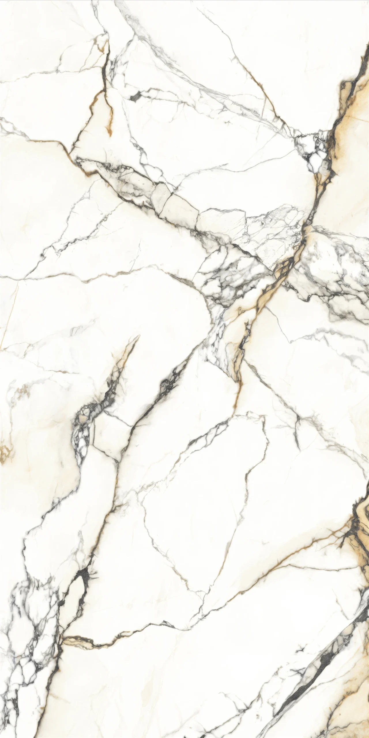 PAONAZZETTO REALE_BM_A