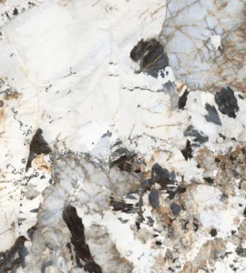 PATAGONIA ROYAL_BM_A