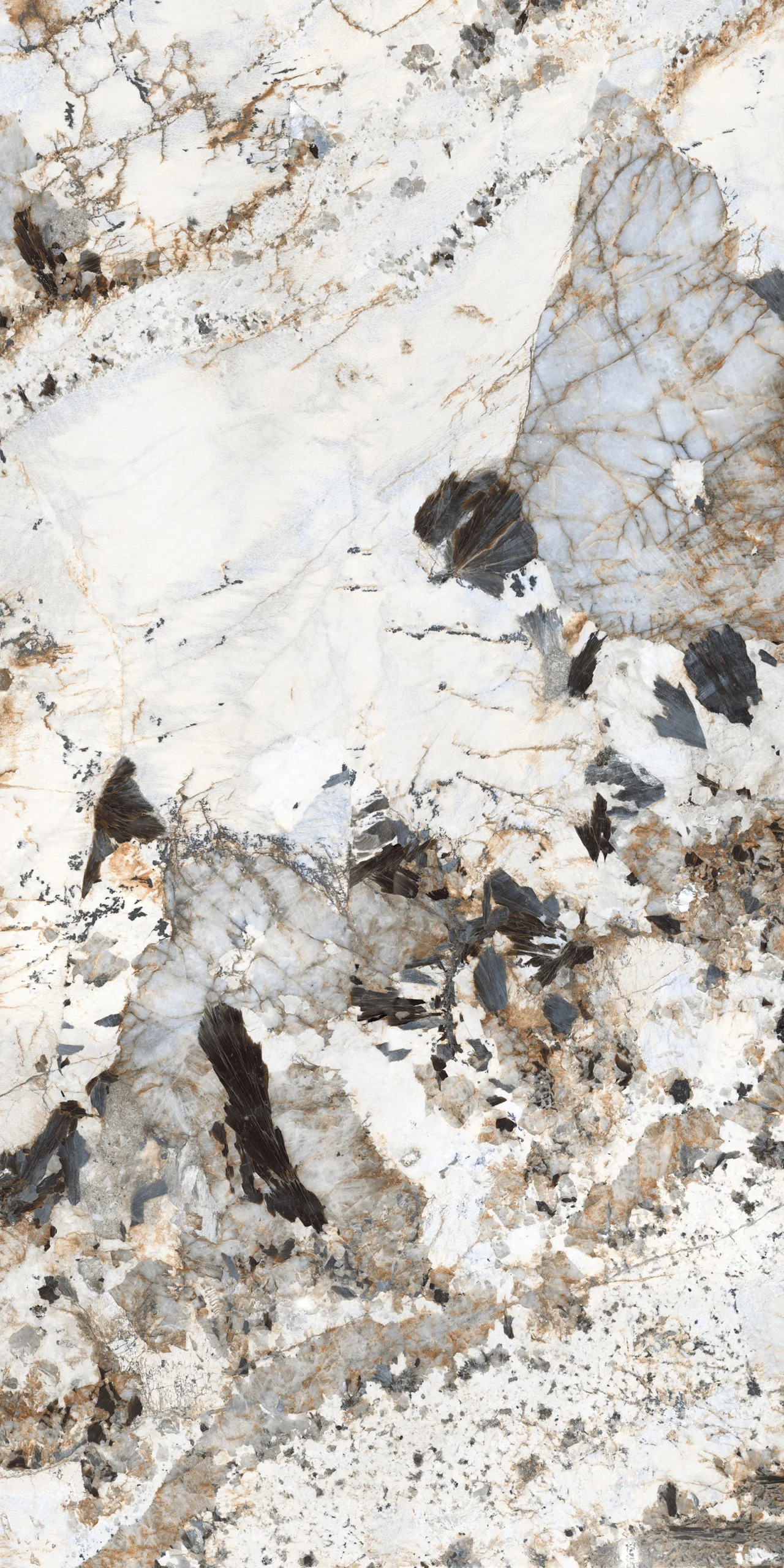 PATAGONIA ROYAL_BM_A