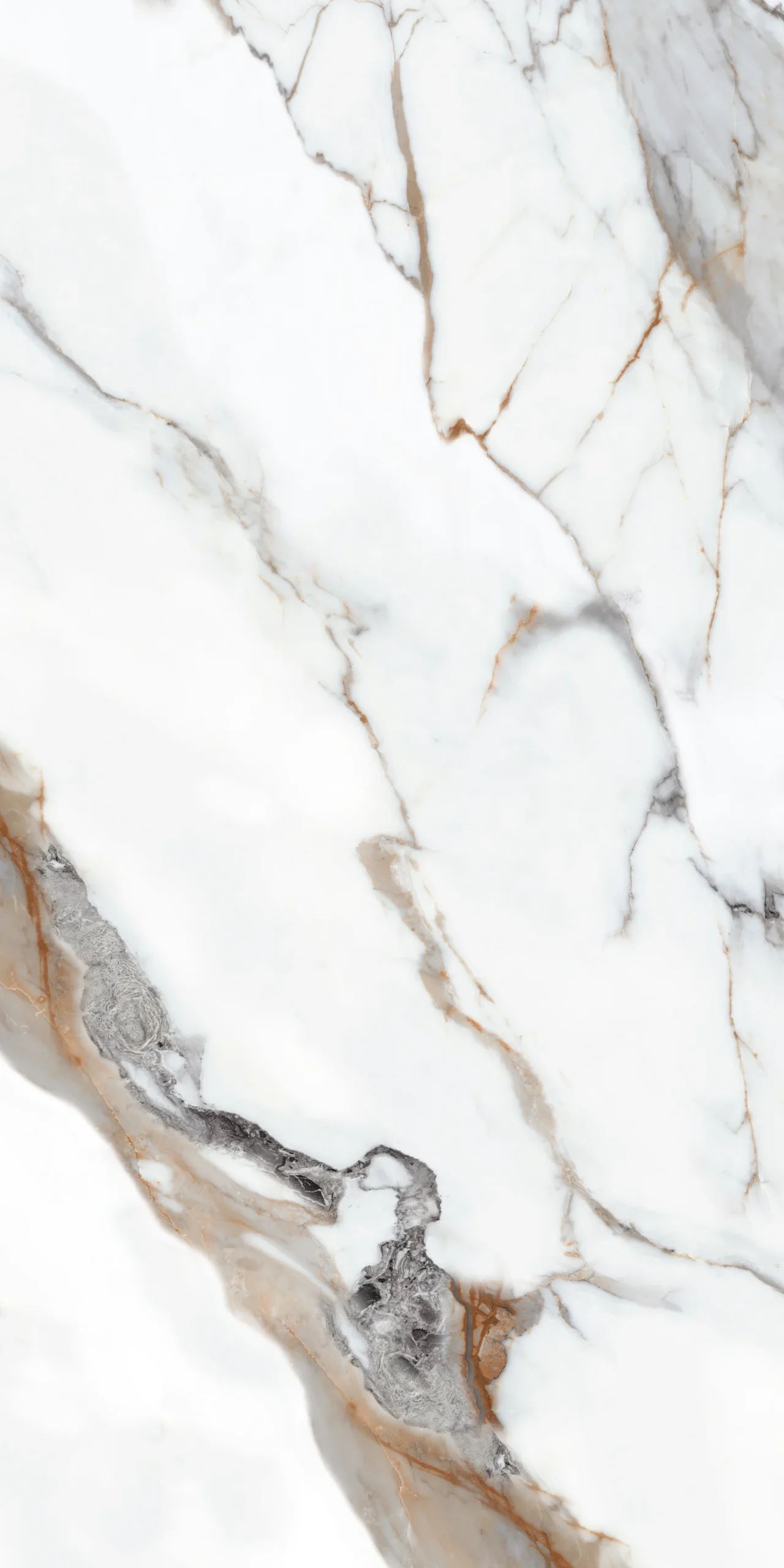 ylbmtsx4dp7wigrhv7rr